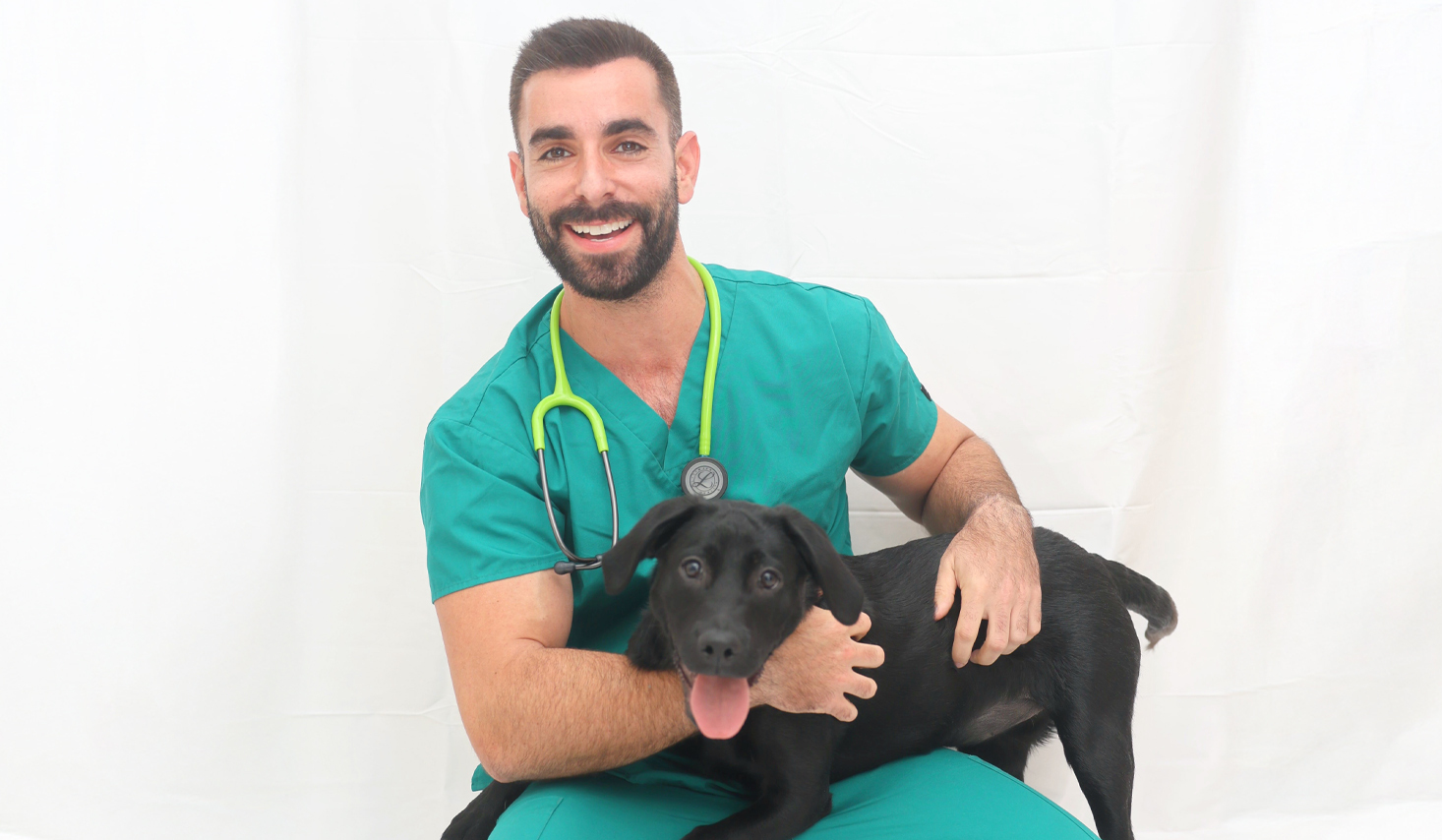 Por qué los perros nos hacen sentir completos: la perspectiva de un veterinario gay
