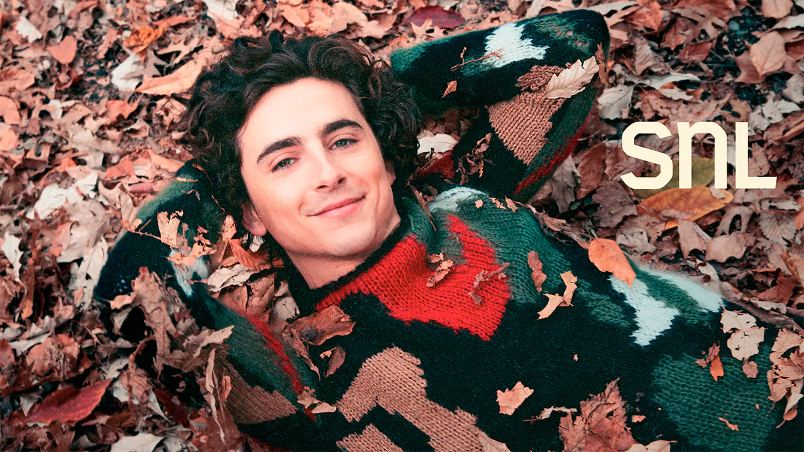 Timothée Chalamet’s Solid Saturday Night Live Brings Back Tiny Horse And Stirs Controversy
