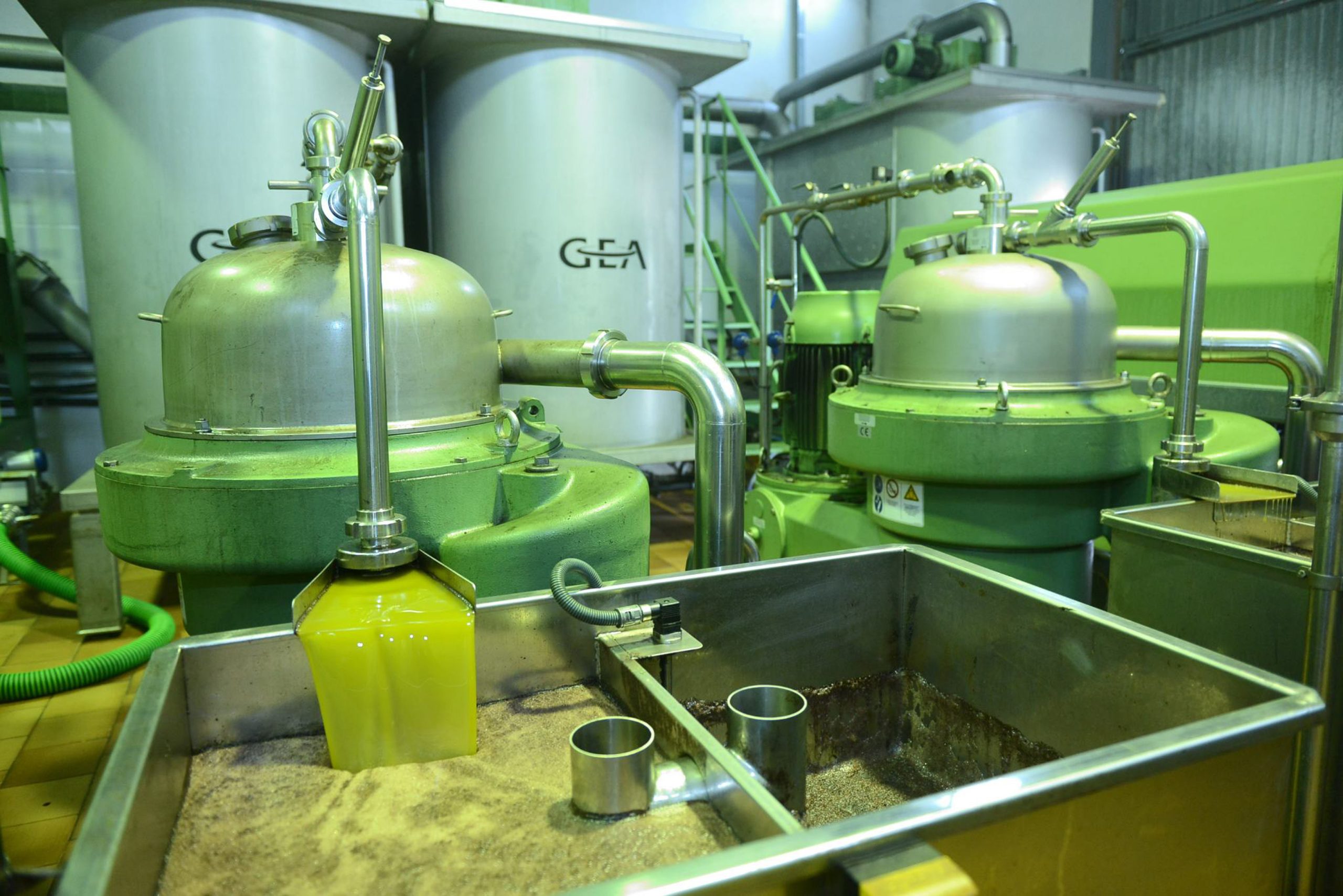 Récord histórico de exportaciones de aceite de oliva en 2024, con 4.570 millones y un alza del 39%