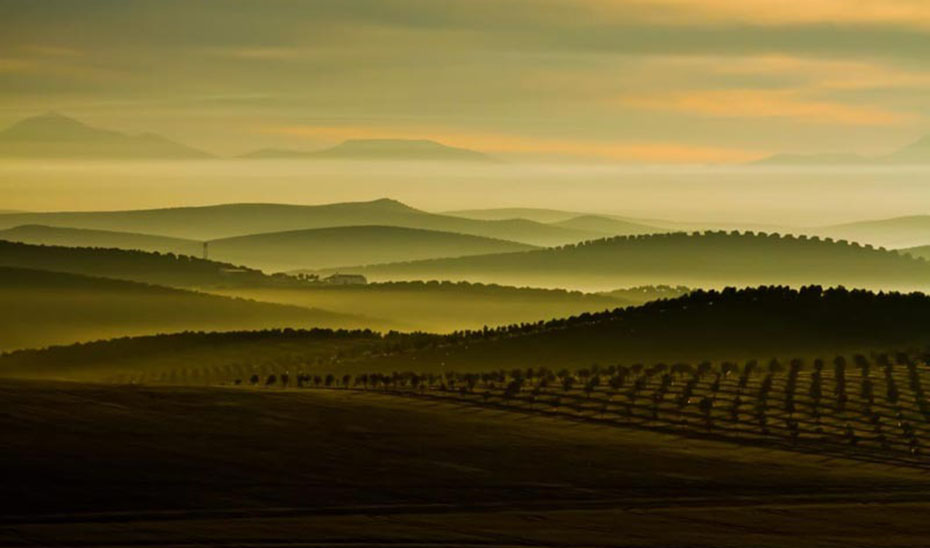 Convocada la XXIX edición de los Premios Andalucía de Medio Ambiente