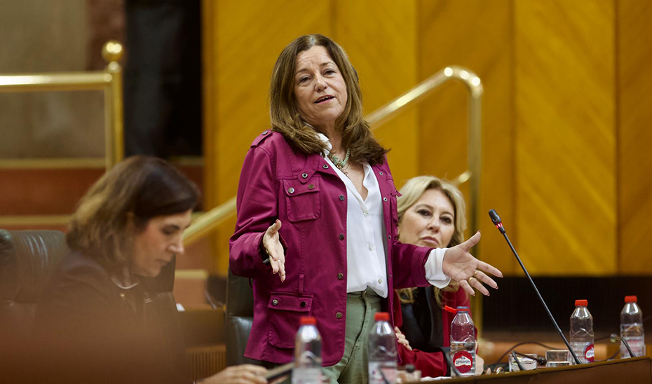 El sistema educativo cuenta con 510 aulas más desde 2018, a pesar del descenso de la natalidad
