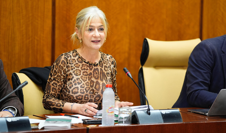 Convocadas ayudas al sector cultural andaluz por casi 11 millones de euros para 2025