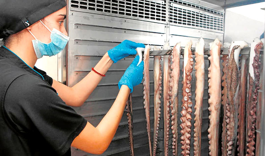 La Especialidad Tradicional Garantizada ‘Pulpo Seco de Adra’ tendrá reconocimiento europeo este verano