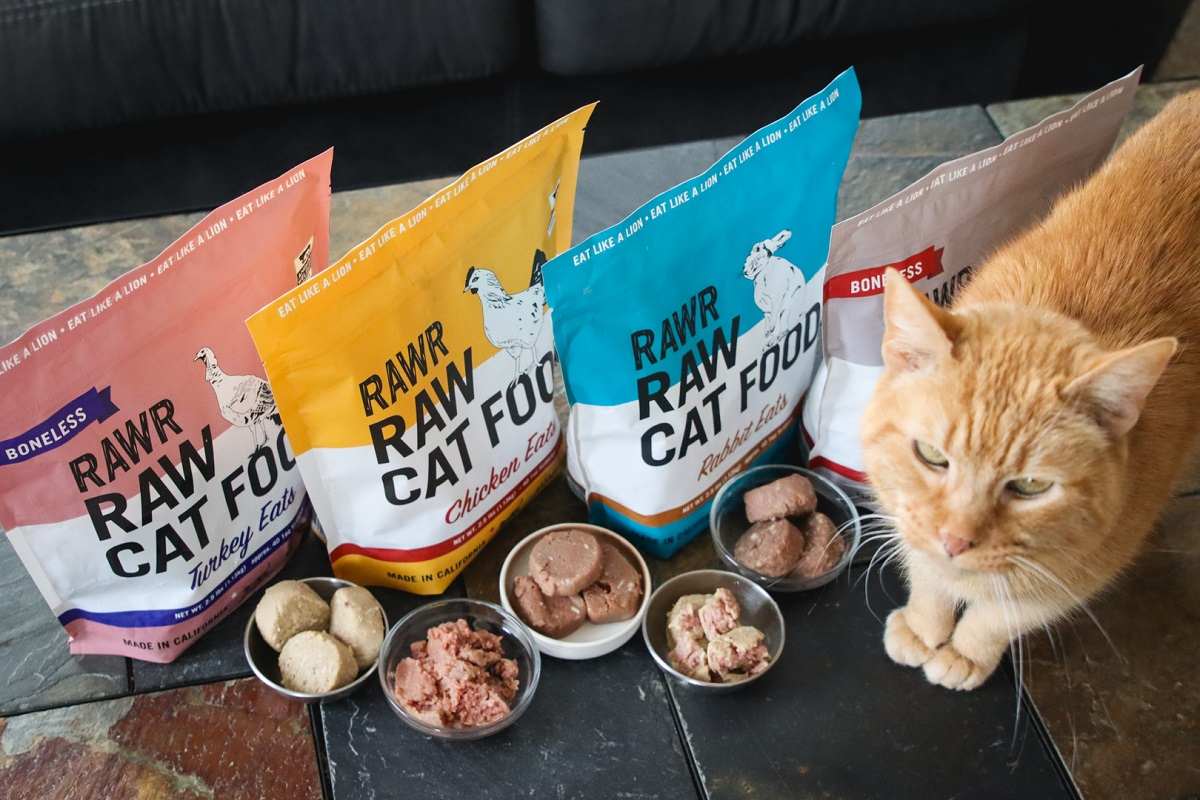 RawR – Come como un león Raw Cat Food Review