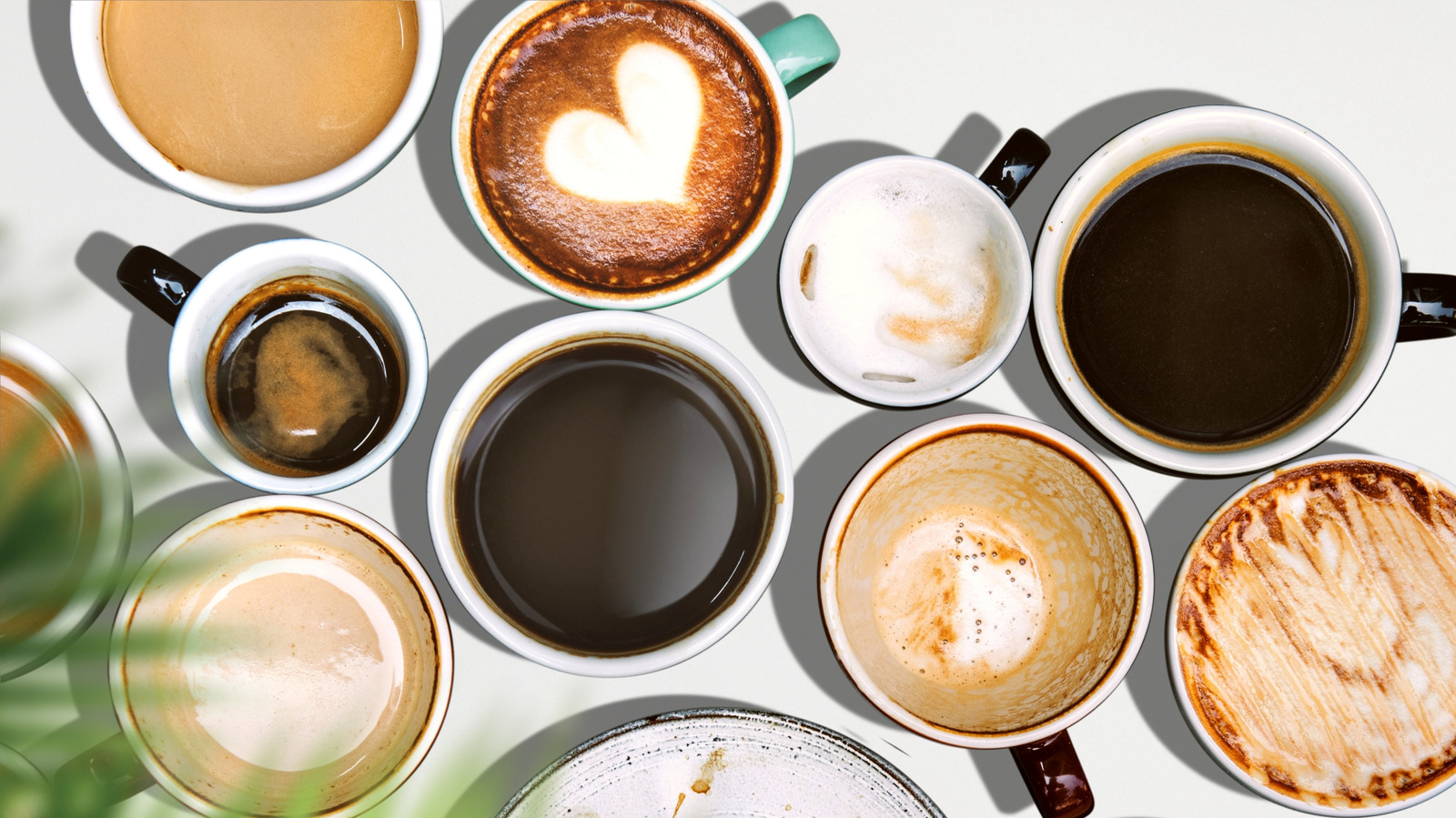 Las mejores frutas que puedes agregar directamente a tu café