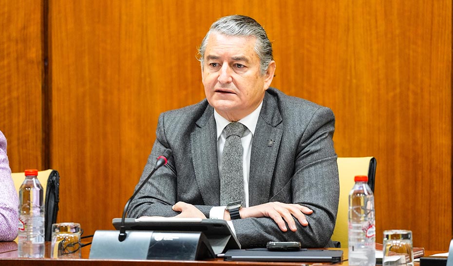 La ventanilla única del audiovisual y digital de Andalucía abrirá a finales de 2025