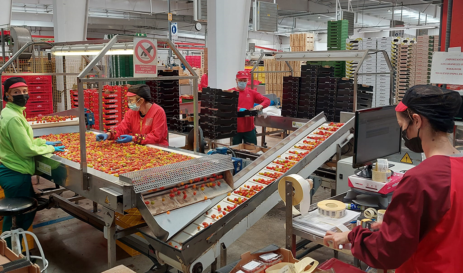 Empleo respalda a la Economía Social con cuatro líneas de ayudas que movilizan 3,9 millones