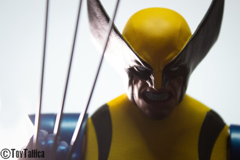 Marvelous Photo Of The Day: "Wolverine" By ToyTallica
