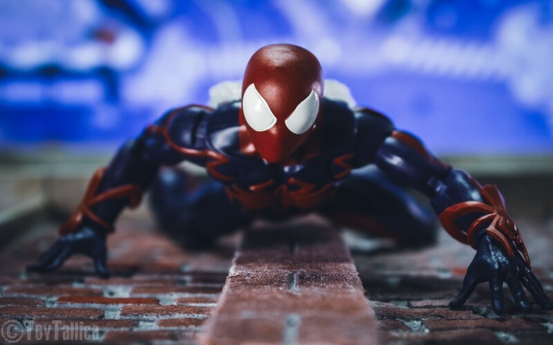 Marvelous Photo Of The Week: "Unlimited" By ToyTallica