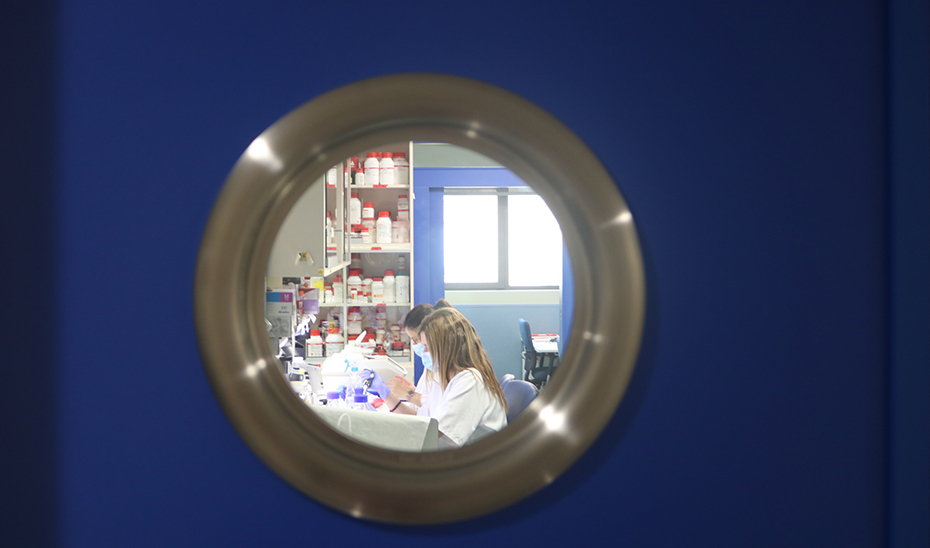 Más de un millar de pacientes participa en una investigación sobre el lupus liderada desde Granada