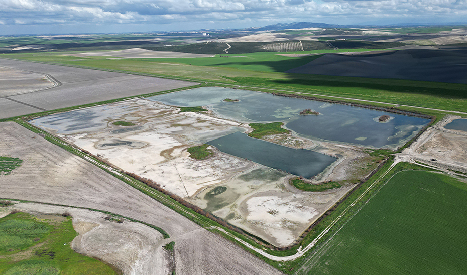 La Junta incorpora Haza de la Torre al Inventario de Humedales como nuevo enclave de la biodiversidad