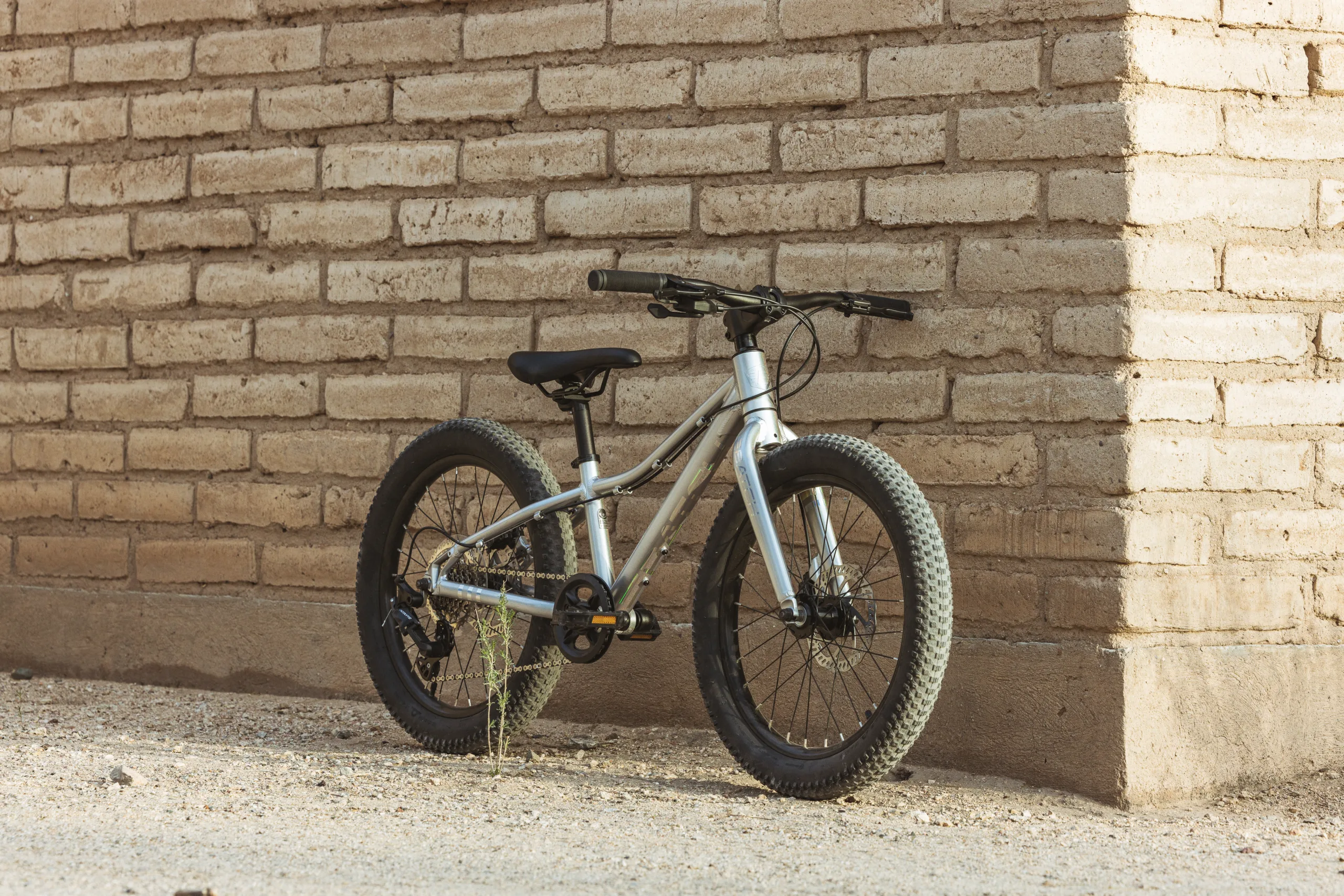 Las bicicletas por lotes lanzaron MTB para niños de 20 “con geometría lista para senderos y características de bicicleta grande