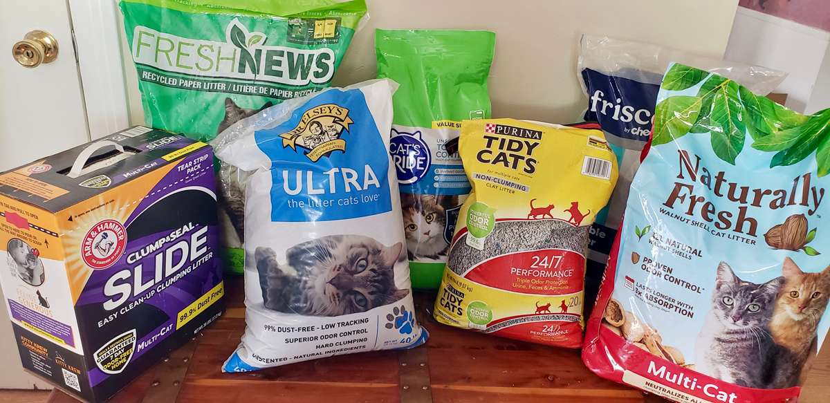 Las 7 mejores picaduras de gatos asequibles: compradas y probadas