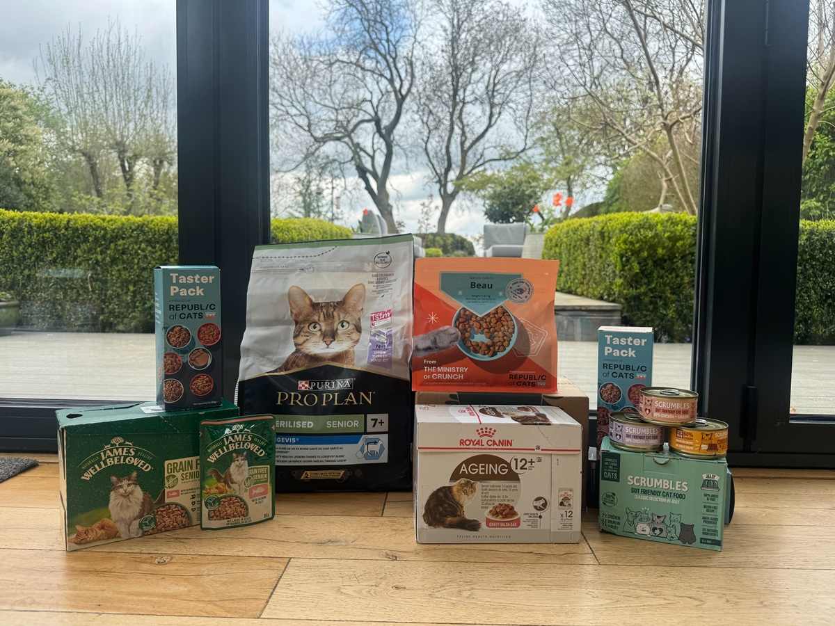 La mejor comida para gatos para gatos mayores en el Reino Unido