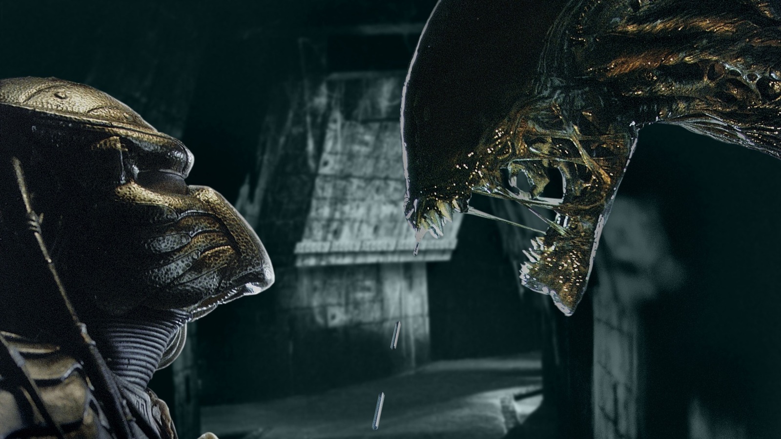 Alien Vs Predator 3: Will It Ever Happen?
