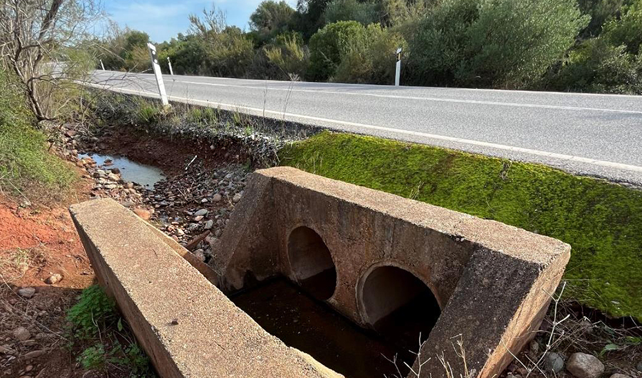 Carreteras de Sevilla y Córdoba incorporarán vallas y señalización para proteger al lince ibérico