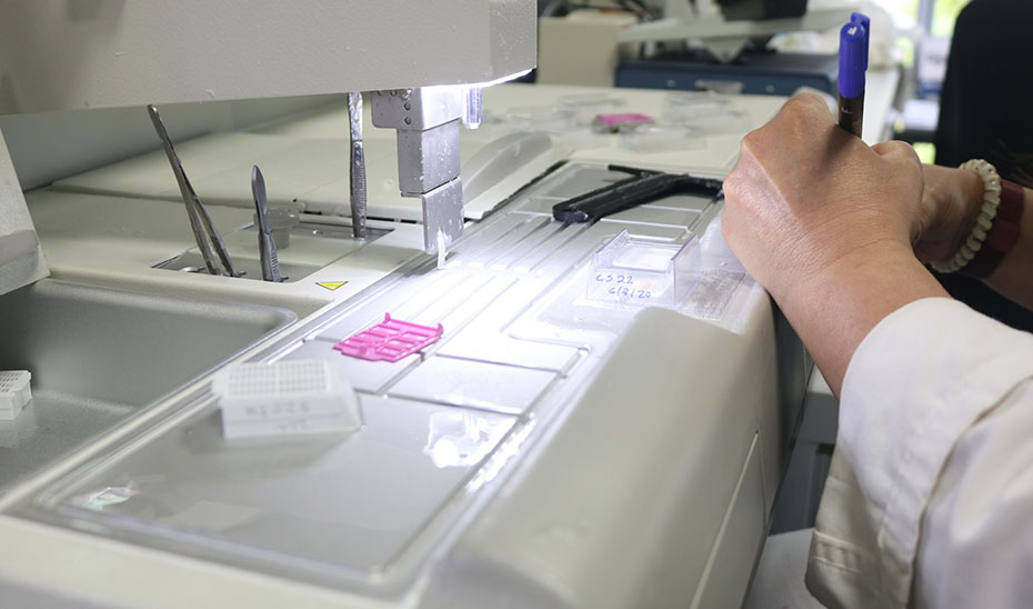 Más de 1,2 millones para investigaciones en Biomedicina, Ciencias de la Salud y de colaboración internacional