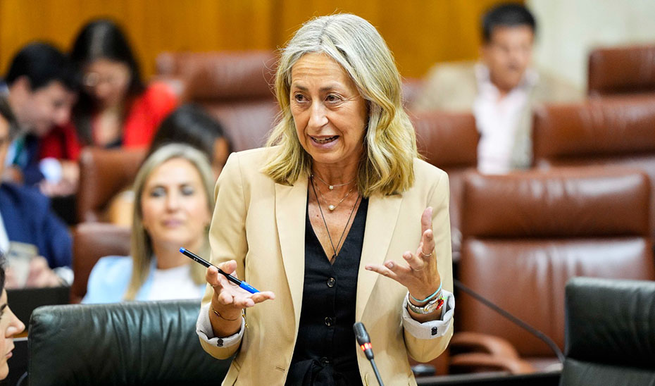El nuevo modelo de atención a los pacientes crónicos mejorará la personalización de la asistencia y la adecuación de recursos