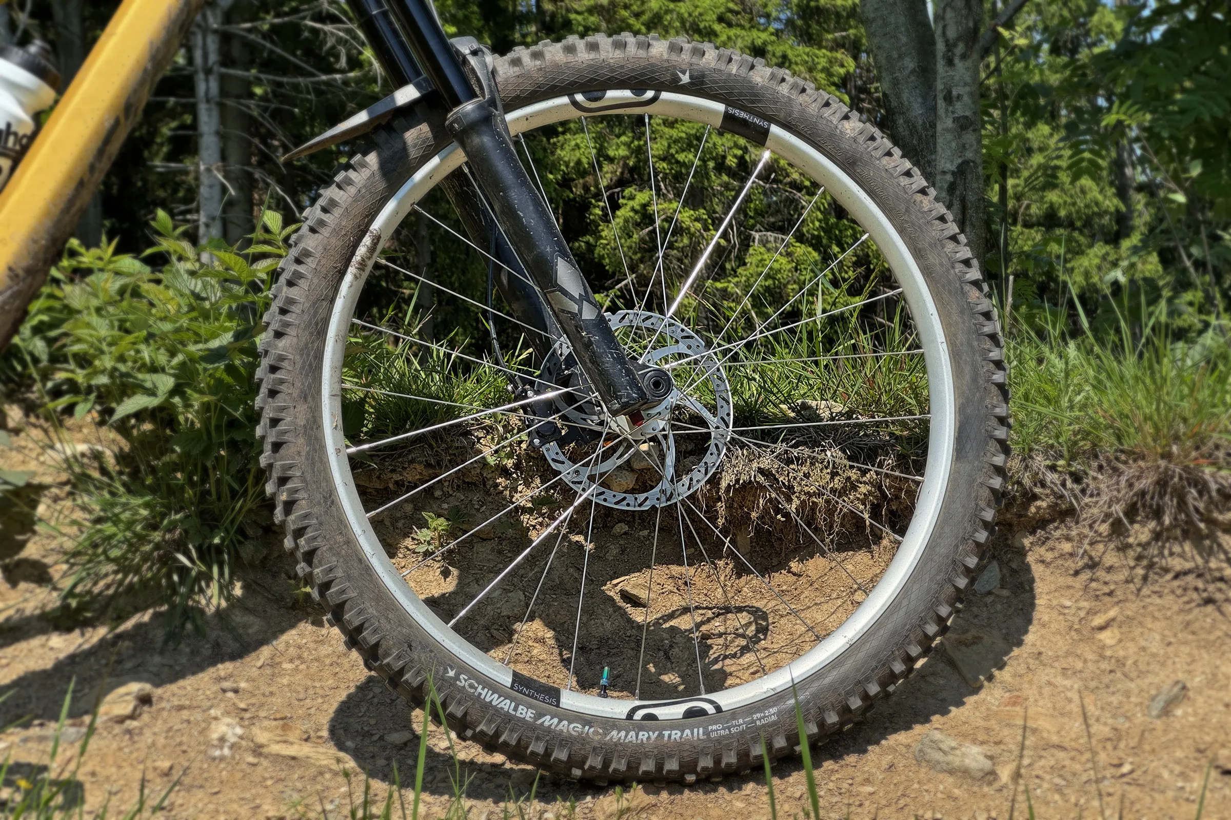 Crankbrothers Synthesis 2.0 ALEAY ROELS Promise Lifetime Enduro & DH Valor: Review
