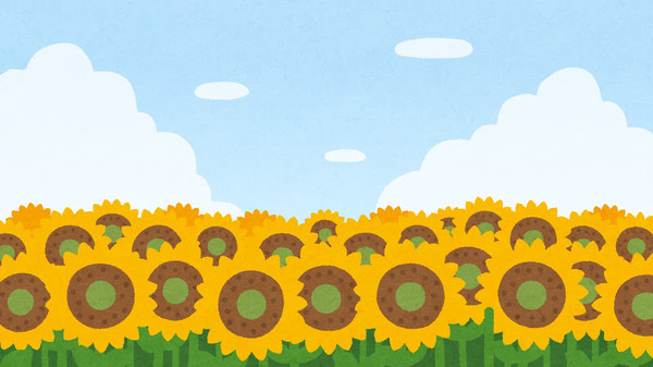 ¿Cuándo es el personaje cuyo color de la imagen es “amarillo”? La fecha límite para la encuesta es el 3 de julio[#Sunflower Day]