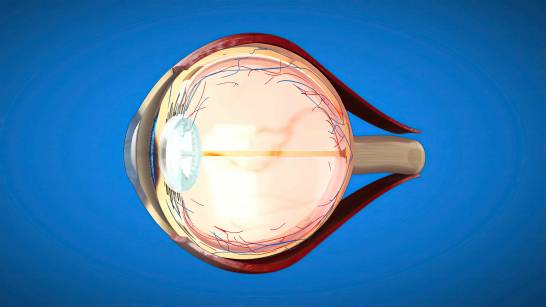 Medicamente combinate în microsfere împotriva glaucomului
 – Știință Știri