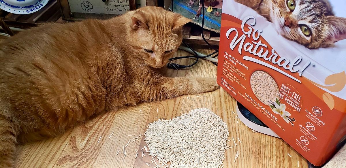 7 razones para comprar una basura de gato natural