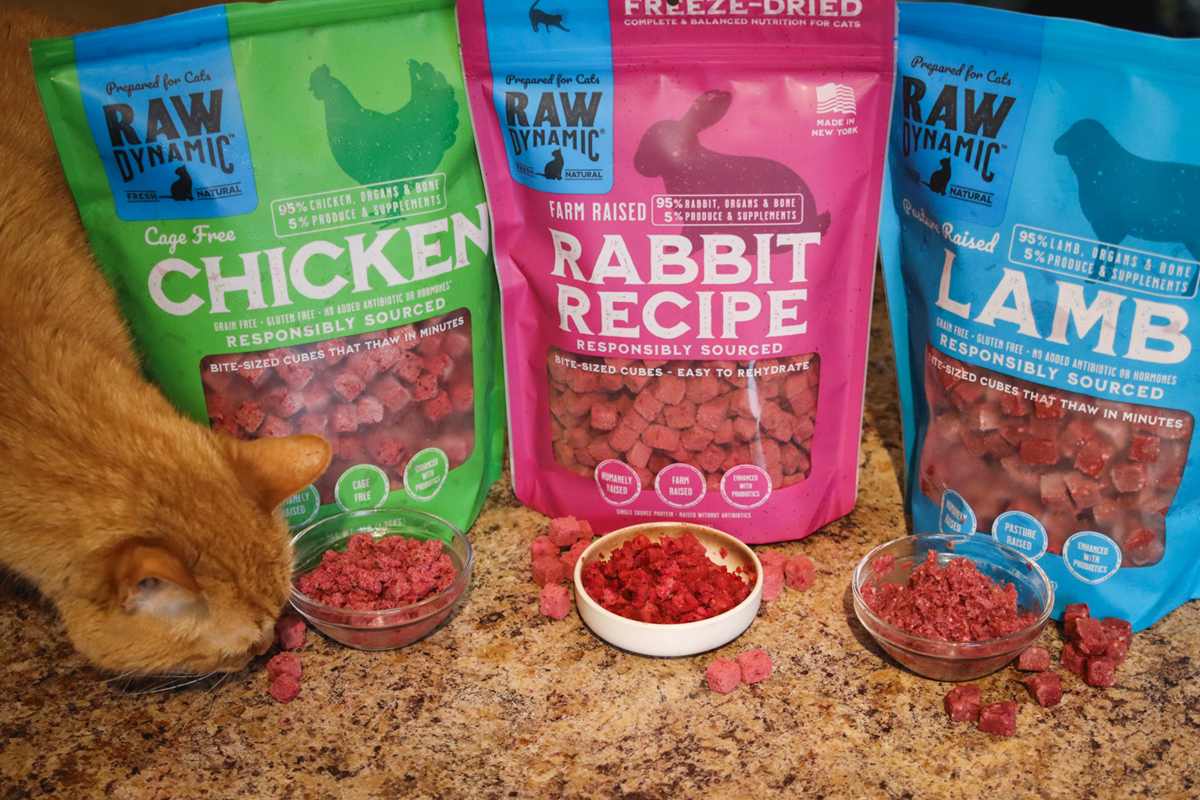 Revisión dinámica de alimentos dinámicos de gato