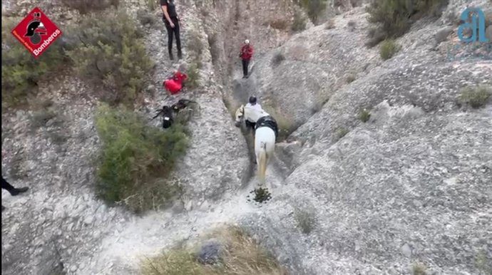 A salvat un cal prins într -o râpă în Albatera
 – Știri din Valencia
