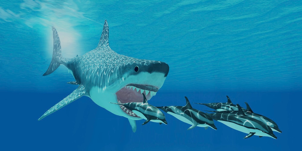 Tiburones extintos que nos gustaría ver en una mashup de Jaws / Jurassic Park