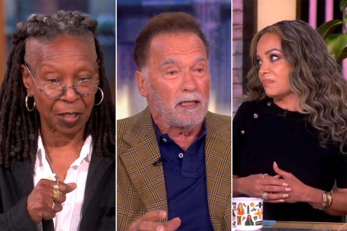 Whoopi Goldberg, Sunny Hostin cerró a Arnold Schwarzenegger después de que se le dirigió sobre los inmigrantes “haciendo cosas ilegales”: “Es menos probable que cometan crímenes”