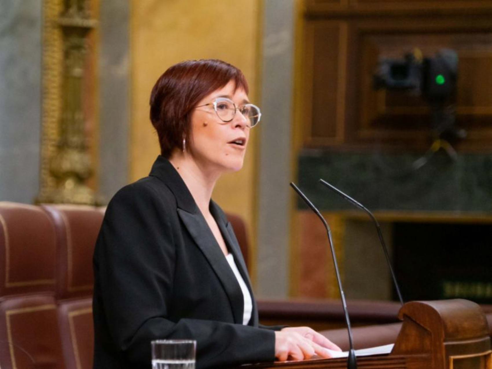 un deputat la grupul mixt și celălalt pentru a adăuga
 – Știri din Spania