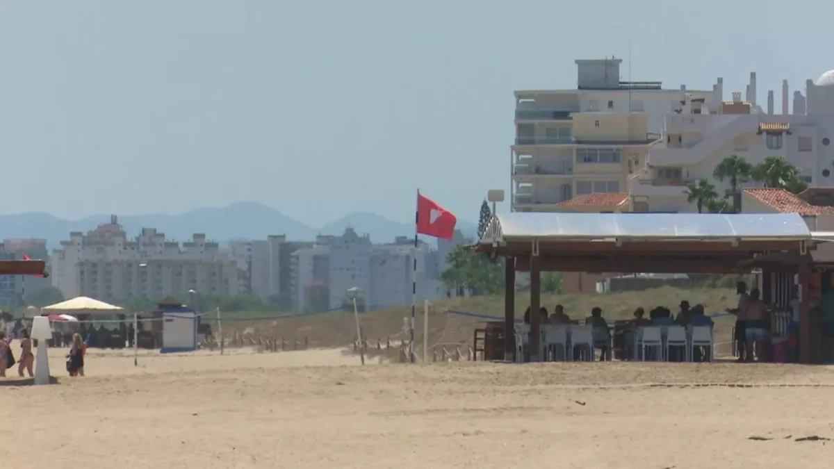 Mai multe plaje ale comunității Valenciane pentru poluarea apei: Daimús, Xeraco, Tavernes și Orihuela, în alertă
 – Știri din Valencia