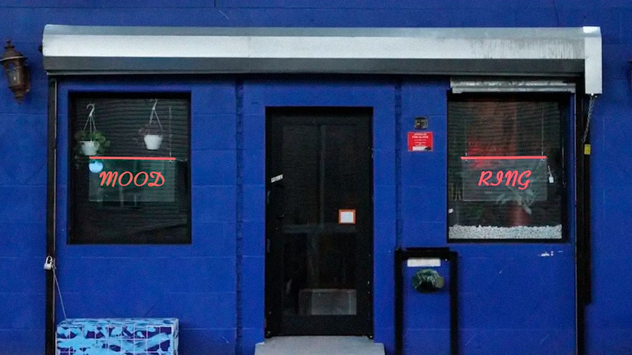 Lo que sucedió después de que la policía de Nueva York cerró una cosa queer puertorriqueña después de la fiesta